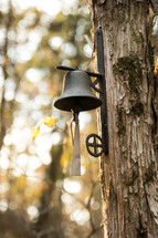a dinner bell on a tree in the woods