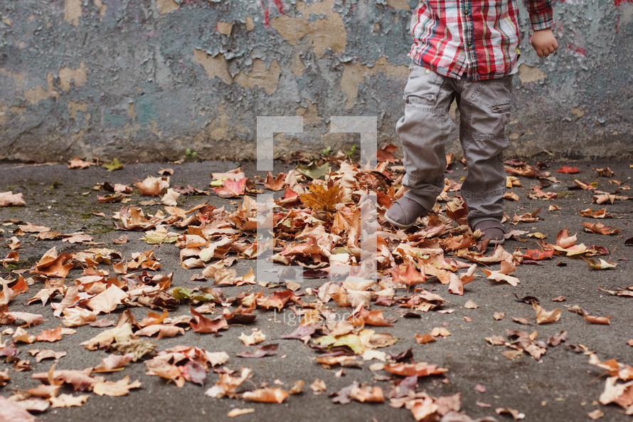 boy child walking through fall leaves 