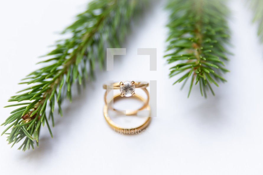 wedding rings and Christmas tree branches 