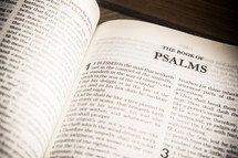 The book of Psalms 