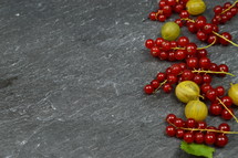 red and green berries on slate 