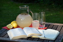 Bible study in the summertime – outside in the garden with fresh self made lemonade.  