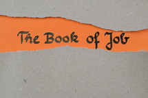 The Book of Job 