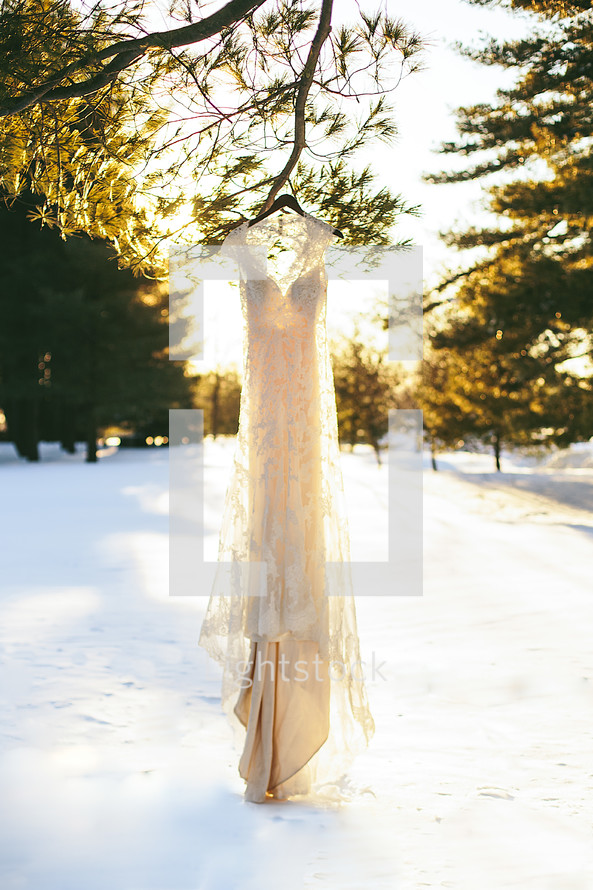 a wedding gown hanging in a tree over snow 
