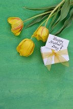 yellow tulips on a green background and gift box for mother's day
