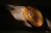 Details of cantaloupe melon, sunrays and shadows