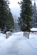 winter scene 