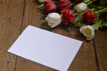 red and white tulips and a blank piece of white paper 