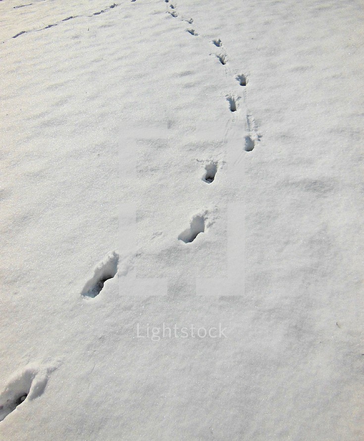 Footprints in snow. 