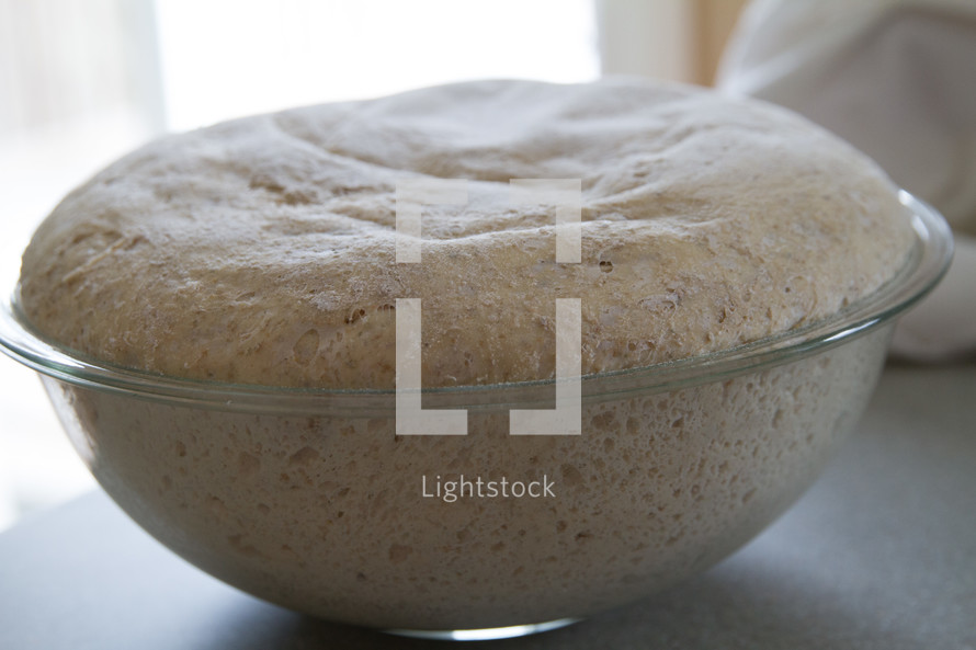 rising dough in a bowl 