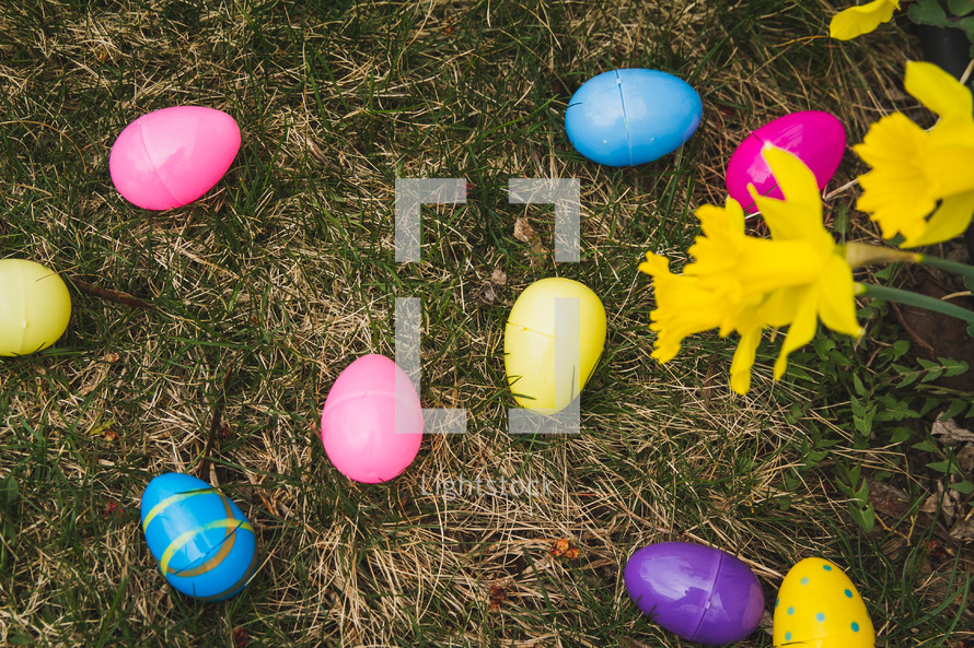 Easter eggs in grass 