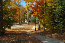 fall leaves and trees around a path 
