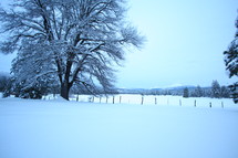 Snow covered pasture