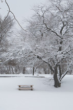 picnic bench in snow 