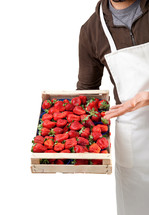 fresh strawberries in wooden box
