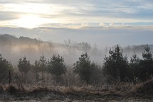 misty morning sunrise over a field