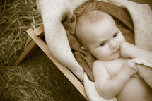 baby Jesus lying in a manger