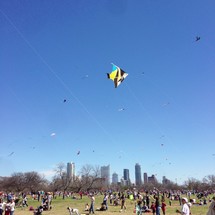 flying kites in central park 