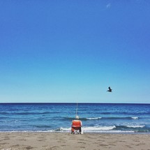 man sitting in a chair on a beach and a pelican in flight