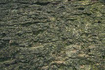 rock texture background 