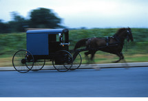 Amish buggy 
