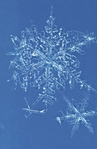 macro snowflake 