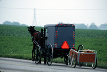 A horse drawn Amish cart pulling a Garden Way cart as a trailer. Lancaster County, Pennsylvania, USA