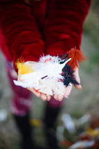 hands full of colorful feathers 
