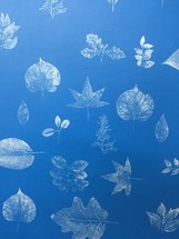 leaf prints on blue wallpaper 