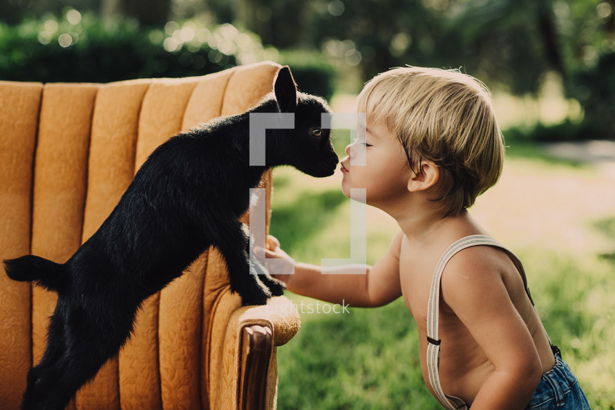 a bare chested toddler boy in suspenders standing in the grass kissing a baby goat 