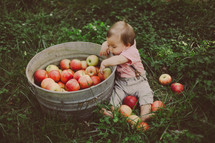 Toddler boy sitting in the grass reaching into a bucket of apples.