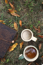 leather bound Bible and mugs in grass
