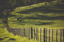 fence line in a pasture 