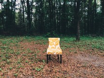 chair alone outdoors in fall leaves 