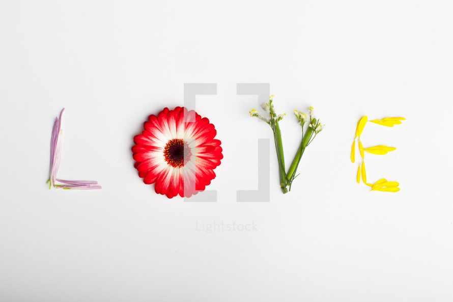 word love in flowers 