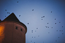 pigeons in flight above a castle tower in Luxembourg