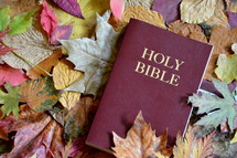 bible between colorful autumn leaves. 