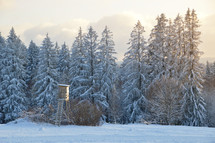 winter scene and deer stand 