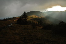 Sunrise rays shine over the mountain trail