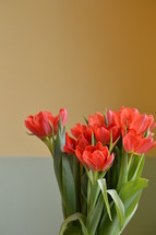 red tulips in a bouquet in front of a yellow wall