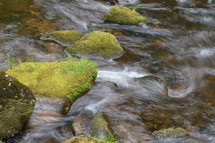 streams of water in a creek with stones overgrown with moss. 
