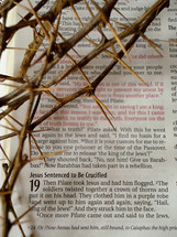 Bible passage with the crown of thorns (John 19:2)