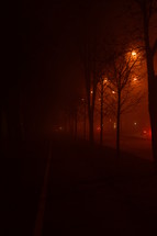 street lights on a foggy street at night 