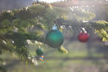 ornament hanging on a Christmas tree outdoors 