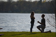the proposal 