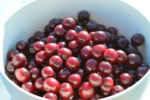cherries in a bowl 