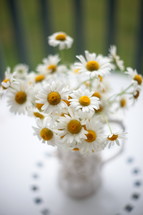 Daisies to brighten up the day.