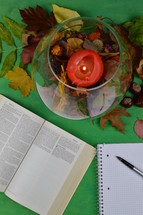 notebook, pen, open Bible, and fall leaves on green background 