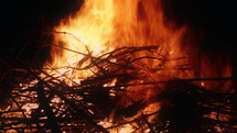 Tree branches burning in a campfire at night in slow motion