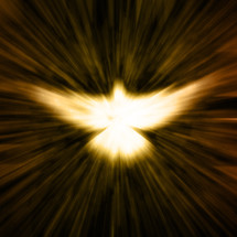 light glowing in the shape of a white dove